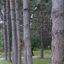  Sergey, , 61  -  8  2014    