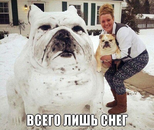 �������������� �� ���� �������� <a href=