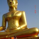 ���� �����, �����, 72 ���� - ��������� 8 �������� 2014 � ������ ���� ����������