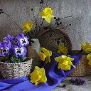 ���� �����, ��������� - ��������� 19 ������� 2014 � ������ ��� �� �����