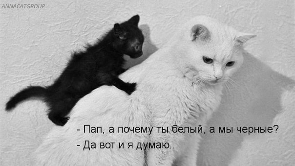       - 9  2014  17:33