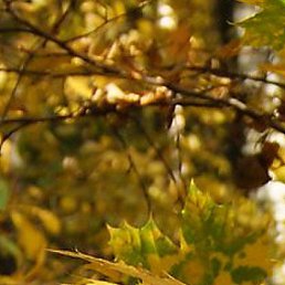John, ������, 53 ����