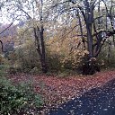  Skoj,  -  16  2014   - 