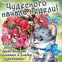 ���� �������, ������, 64 ���� - ��������� 17 ������ 2014 � ������ ������ ��������