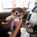 ���� Romeo, ������ - ��������� 12 ������� 2014 � ������ ���� ����������