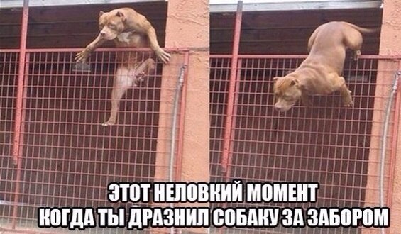  - 20  2014  11:54