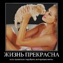 ���� �����, ���� - ��������� 26 ������� 2014 � ������ ������ ��������