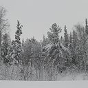 ���� �������, ����, 63 ���� - ��������� 4 ������� 2014 � ������ ���� ����������