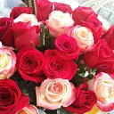  ,  , -, 42  -  8  2014    