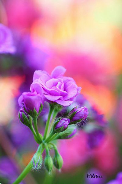 Жизнь — не там, где много машин и денег… Там жизнь, где люди, которые искренне тебя любят и очень ... - 4