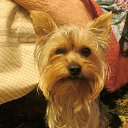 ���� �� ������� ����������� �����,���� � �����