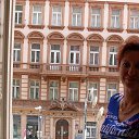  , -, 54  -  5  2014    .  2014