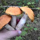  Skoj,  -  9  2014   - 