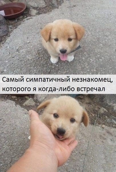    :D - 18  2014  15:05