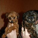 ���� ����, �����-���������, 47 ��� - ��������� 26 ������� 2014 � ������ ���� ����������