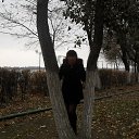 ����� �� ������� ���� ����������