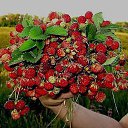 ���� �����, ���� - ��������� 26 ������� 2014 � ������ ������ ��������