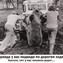 ���� �����, �������, 47 ��� - ��������� 30 ������� 2014 � ������ ������ ��������