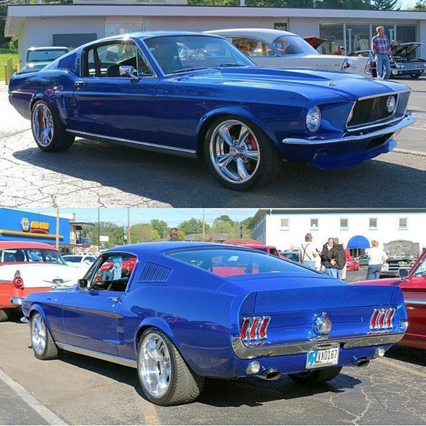 Mustang - 9