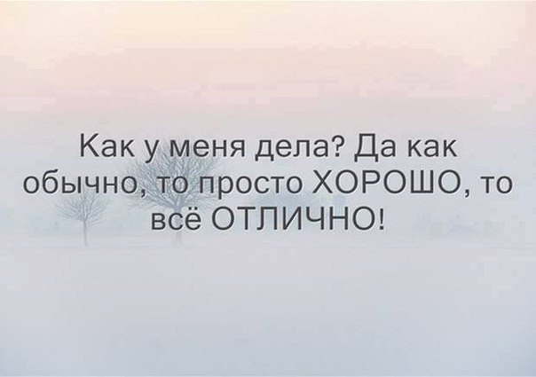 Спросил как дела у бывшей. Дела отлично как обычно. Все отлично цитаты. Статус у меня все отлично. У меня дела отлично.