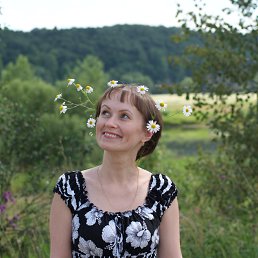 ���� ������, ������, 49 ��� - ��������� 25 ������� 2014