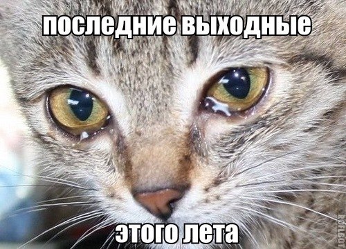  -   - 30  2014  20:22