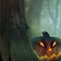 ���� ����, ���������� - ��������� 27 ������� 2014 � ������ ���� ����������