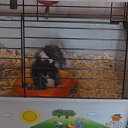 ���� ������ ��������, ������ - ��������� 28 ������� 2014 � ������ ������