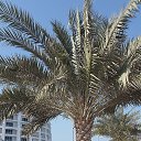 ���� Ikrom, �������, 49 ��� - ��������� 25 ������ 2014 � ������ ���� ����������
