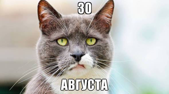    :D - 31  2014  03:15