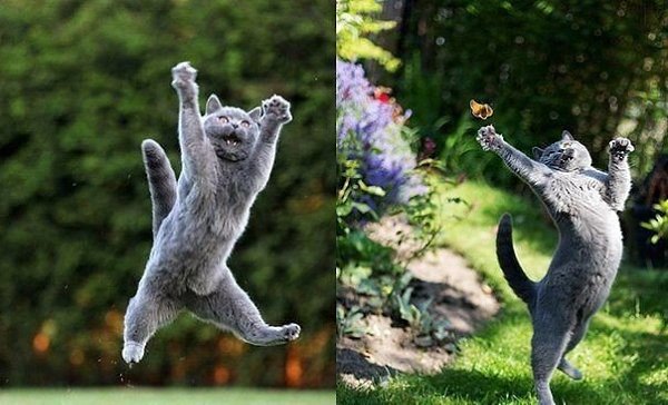 Да помню я, сколько мне лет..!!! ...самый возраст - мечтать... любить и радоваться жизни..!))))