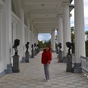      ,    - ,        !   - 2014