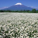 ���� �����, ������, 52 ���� - ��������� 11 ������� 2014 � ������ ������� �����