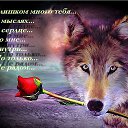 ���� �������, ������ - ��������� 9 ������� 2014 � ������ ������ ��������