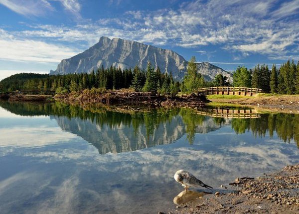  Rundle, 