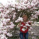 ���� �����, ���������, 56 ��� - ��������� 17 ������� 2014