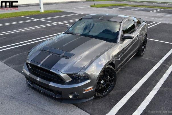 ���� ������ ����� - 7 ������� 2014 � 15:13 - 3