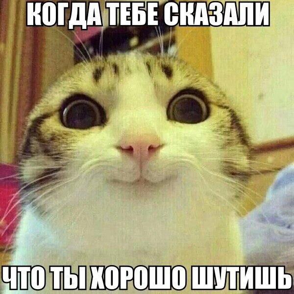    :D - 5  2014  21:32