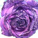 ���� ������, �������������� - ��������� 12 ������ 2014 � ������ ������ ��������