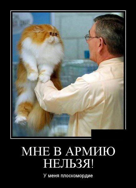 Приглашаю в группу,где море позитива: fotostrana.ru/public/237255/