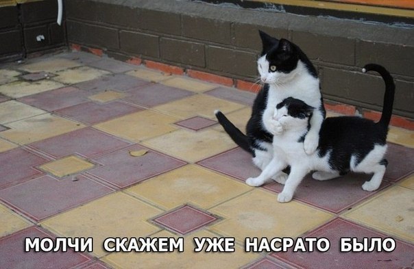    :-) - 9  2014  15:20