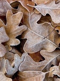 ,  ,     !   ,   !    -   ... , ... - 4