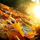 ���� �������, ������������, 52 ���� - ��������� 17 �������� 2014 � ������ ������ ��������