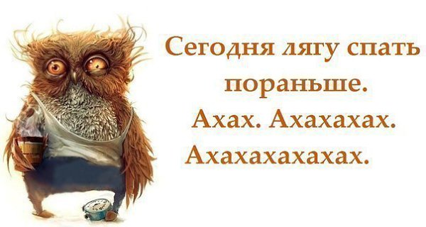 hocolate - 24  2014  22:03