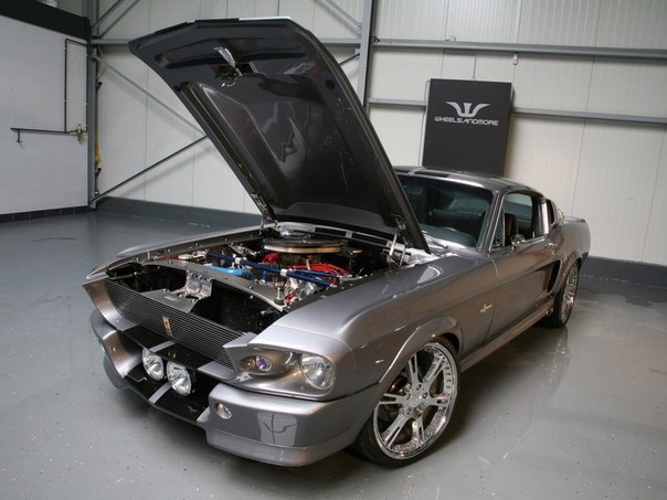 Ford Mustang GT500 Shelby Eleanor    60-. ,      ... - 3