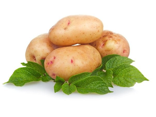 КОЖУ ОЧИСТИТ КАРТОФЕЛЬ.