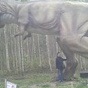 Lietuva-Klaipeda -Radailiai �� ������� ���� ����������