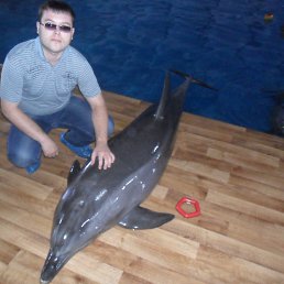 ������, ����-���������, 35 ���