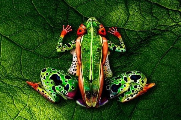 � ������� ������� ����� ����������, ��� �� �������� �� ��������� �������, �� ������������� ����� ...