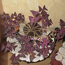 ���� ����, ��������� - ��������� 5 ������� 2014